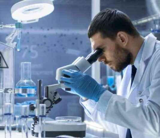 Generation Bio Co. (NASDAQ:GBIO) Earnings Report Sparks Analyst Upgrades news-11082024-023504