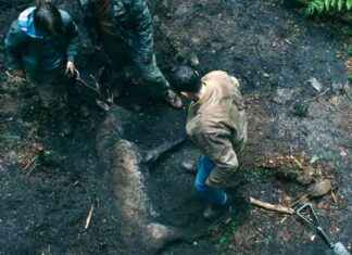 Official US Trailer for Scottish Thriller ‘Betrayal’ – Three Brothers Uncover Dark Secrets news-11082024-030653