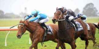 New TAB Betting Platform Targets Younger Audience news-11082024-030853