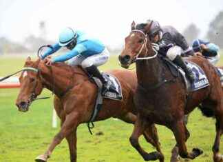 New TAB Betting Platform Targets Younger Audience news-11082024-030853