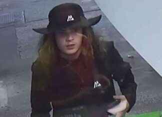 Police Seek Man in Connection with Audi Q5 Petrol Bombing – Liverpool Echo news-16082024-030055