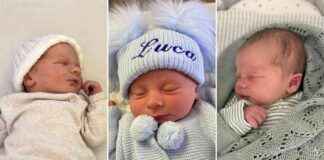 July 2024: Warrington Welcomes 219 New Arrivals – Did You Meet Them? news-16082024-210533