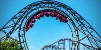 Free Rollercoaster Rides at Theme Park This Bank Holiday Weekend – Liverpool Echo news-17082024-031210