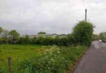 New Homes in Culcheth: Plans Approved for Development news-19082024-223001