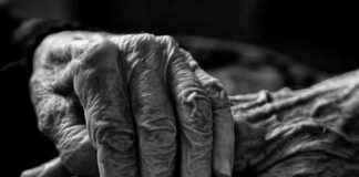 Petition to End Dilemma for Pensioners: Food or Heat – 600 Signatures news-20082024-223452