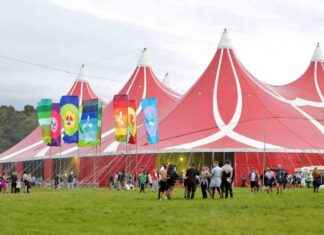 Cost of Drinks at Creamfields 2024: Everything You Need to Know news-24082024-233630