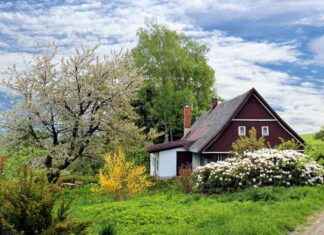 Affordable Houses with Gardens in Warrington: Top Areas to Buy news-26082024-114408