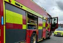 Police investigate deliberate fire involving garden fence and tree news-30082024-001101
