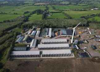 Exposing the Dog Trade from Fermanagh to England news-12092024-211629