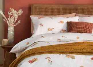 Autumn Decor Collection: Next Home Launches Candles and Bedding news-12092024-211822