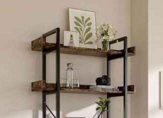Save 80% on Debenhams’ Beautiful Bookcase in the Sale news-12092024-212041