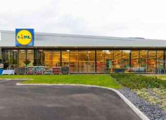 Lidl Faces Backlash Over Cashless Self-Service Tills news-17092024-080348