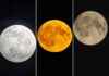 Capturing the Beauty of the Harvest Supermoon and Partial Lunar Eclipse in Warrington news-18092024-205611