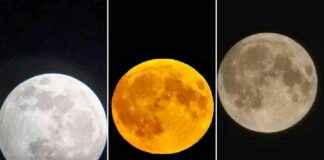 Capturing the Beauty of the Harvest Supermoon and Partial Lunar Eclipse in Warrington news-18092024-205611
