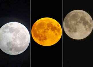 Capturing the Beauty of the Harvest Supermoon and Partial Lunar Eclipse in Warrington news-18092024-205611