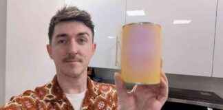 Government-Banned Dish: My Experience Trying the Controversial Meal news-18092024-205852