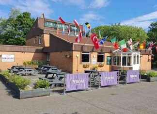 Revamping Pub’s Beer Garden to Attract More Customers news-20092024-190414