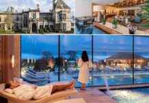 Cheshire Venues Shine at AA Hospitality Awards 2024 news-24092024-120743