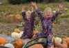 Spooky Pumpkin Picking and Trail at Tatton Park This October Half-Term news-28092024-064224