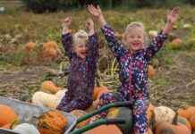 Spooky Pumpkin Picking and Trail at Tatton Park This October Half-Term news-28092024-064224