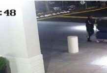 Man Caught on CCTV Pushing Drug-Laden Trolley to Liverpool news-01112024-002613