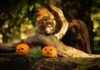 Halloween Safari Event at Knowsley Safari: Half-Term Family Fun news-07102024-220127