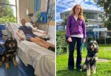 Therapy Dog Brings Joy to Hospitalized Children: Heartwarming Story news-19102024-102255