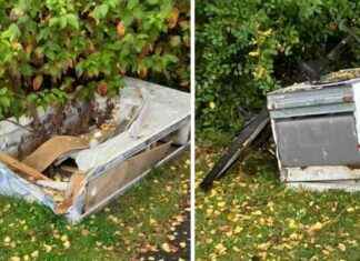 Frustration Rises as Illegal Dumping Continues Unaddressed in Residential Area news-23102024-111604