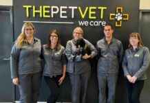 New Title: Warrington Vets Surgery Rebrands at Shopping Centre news-24102024-052433