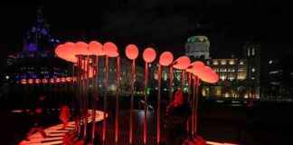 River of Light 2024 Installations: A Sneak Peek news-24102024-233003