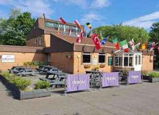 Revamp Your Pub Beer Garden with a Stylish Covered Pergola news-27102024-234436