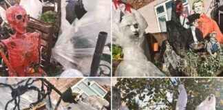 Discover the Spookiest Halloween House in Warrington: A Haunted Tour news-30102024-061204