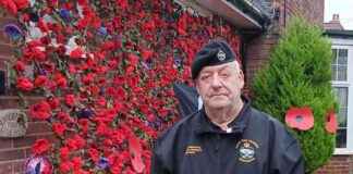 Remembrance Day Tribute: 73-Year-Old Veteran’s Stunning Poppy Display news-09112024-222154