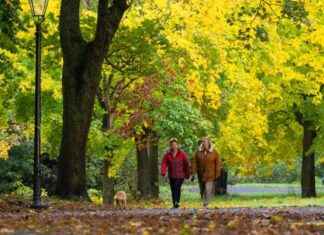 Top 5 Happiest Places to Live in Liverpool: Revealed news-10112024-143934