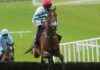 Champion Horse Power: Predicting Victory in Paddy Power Gold Cup news-16112024-062146
