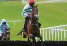 Champion Horse Power: Predicting Victory in Paddy Power Gold Cup news-16112024-062146