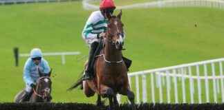 Champion Horse Power: Predicting Victory in Paddy Power Gold Cup news-16112024-062146