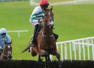 Champion Horse Power: Predicting Victory in Paddy Power Gold Cup news-16112024-062146