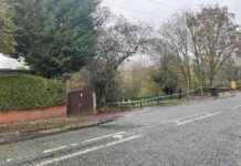 Investigation Launched into Sudden Death at Dam Site news-17112024-002304