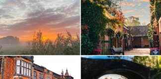Top 15 Scenic Autumn Walks in Warrington for Take A Hike Day 2024 news-17112024-122615