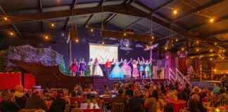 Aladdin Pantomime at Gulliver’s World: A Magical Christmas Show news-19112024-183927