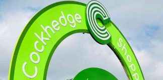 Drug Dealer Arrested at Cockhedge Shopping Centre with Thousands in Cannabis news-26112024-103239