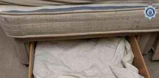Hidden Baby in Drawer: Woman Jailed for Cruelty news-26112024-224118