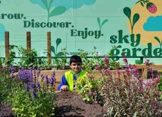 Warrington Town Centre’s Secret Garden Wins Two Major Awards news-27112024-224416