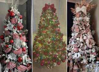 best-dressed-christmas-trees-in-warrington-festive-decorations-2021