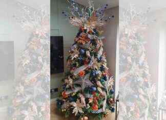 get-the-most-stylish-christmas-tree-in-warrington-tips-for-perfect-decorations