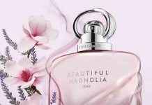 Save Big on Estée Lauder, Clarins, and More in Debenhams Beauty Sale news-02122024-092443