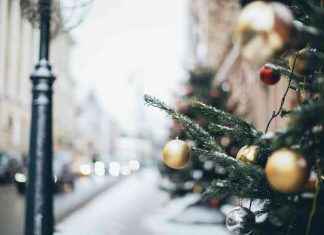 Impact of Festive Street Names on Property Value in Warrington news-03122024-033854