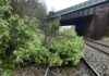 Railway Disruption: Fallen Tree Blocks Line and Fire Near Tracks – What You Need to Know railway-disruption-fallen-tree-blocks-line-and-fire-near-tracks-what-you-need-to-know