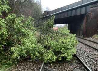 railway-disruption-fallen-tree-blocks-line-and-fire-near-tracks-what-you-need-to-know